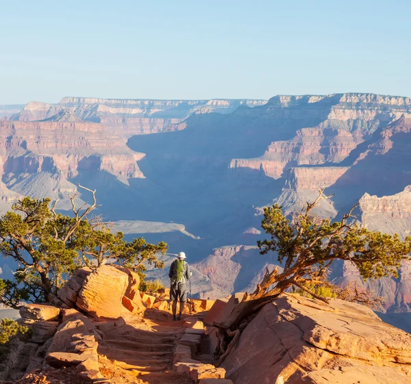 Hike in Grand Canyon — Stock Photo, Image