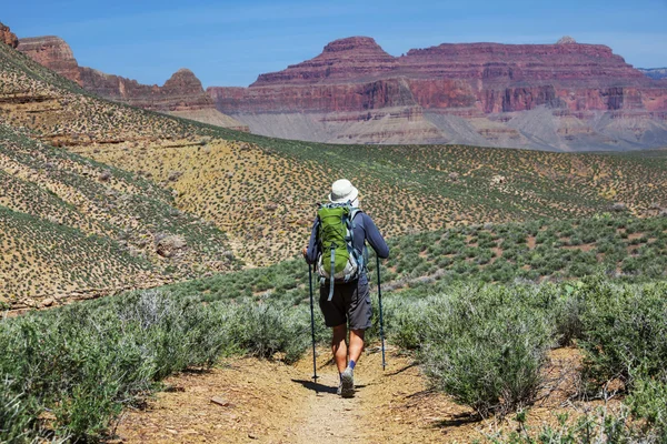 Πεζοπορία στο grand canyon — Φωτογραφία Αρχείου