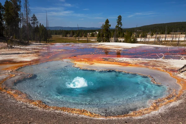 Yellowstone. — Foto de Stock