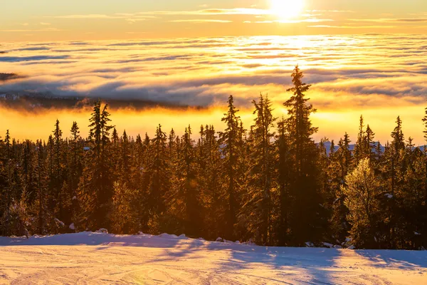 Montagne invernali — Foto Stock