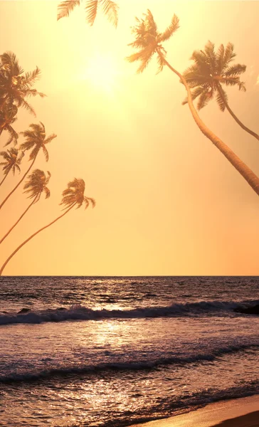 Playa tropical — Foto de Stock