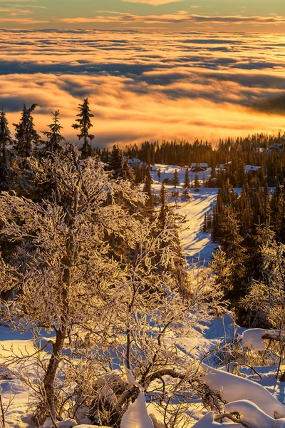 Montagne invernali — Foto Stock