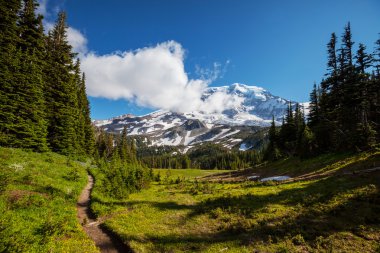 Mt.Rainier