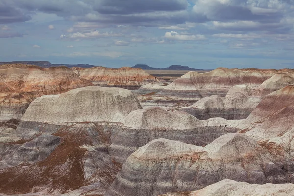 Petrified forest — Stock Photo, Image