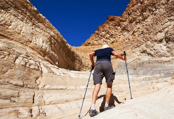 在峡谷徒步旅行 — 图库照片