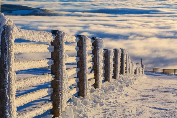 Recinzione in inverno — Foto Stock