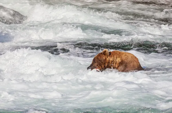 Oefenen op alaska — Stockfoto