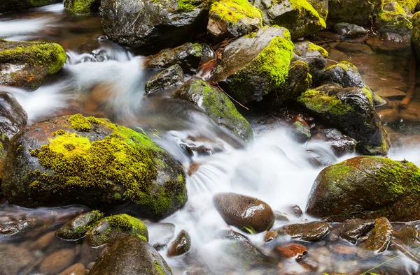 Cascata — Fotografia de Stock