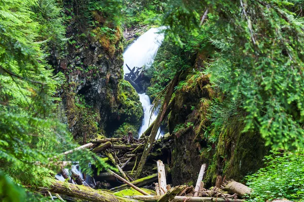 Vattenfall i skogen — Stockfoto