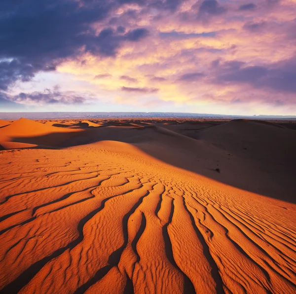 Desierto — Foto de Stock