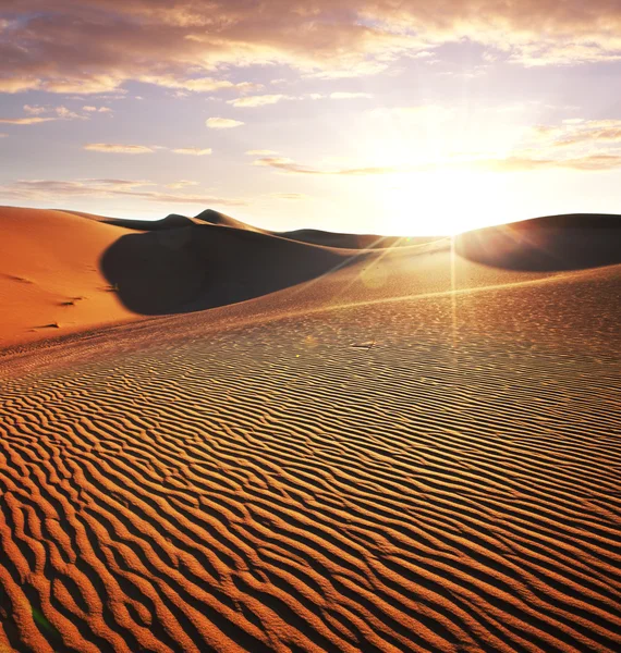 Deserto — Foto Stock