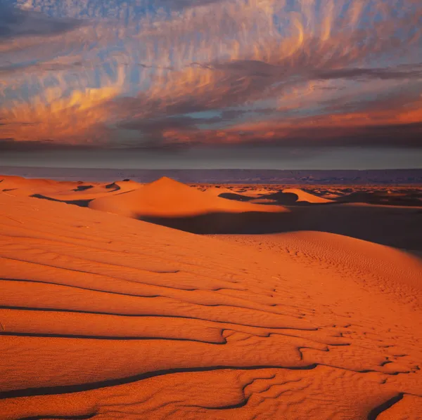 Deserto — Foto Stock