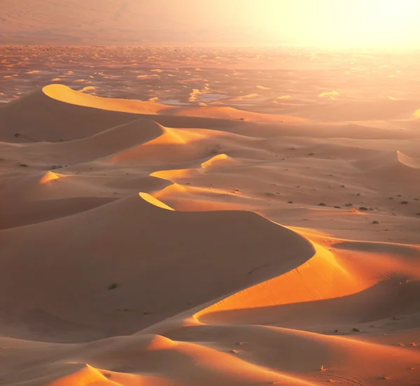 Deserto — Fotografia de Stock