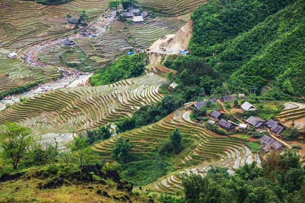 Mezők Vietnamban — Stock Fotó