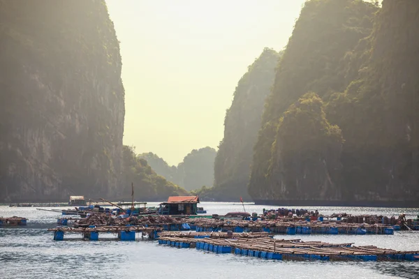 Halong — Stock Photo, Image