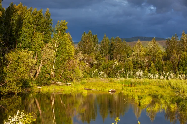 Sjön på alaska — Stockfoto