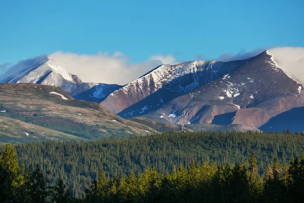 Berg på alaska — Stockfoto