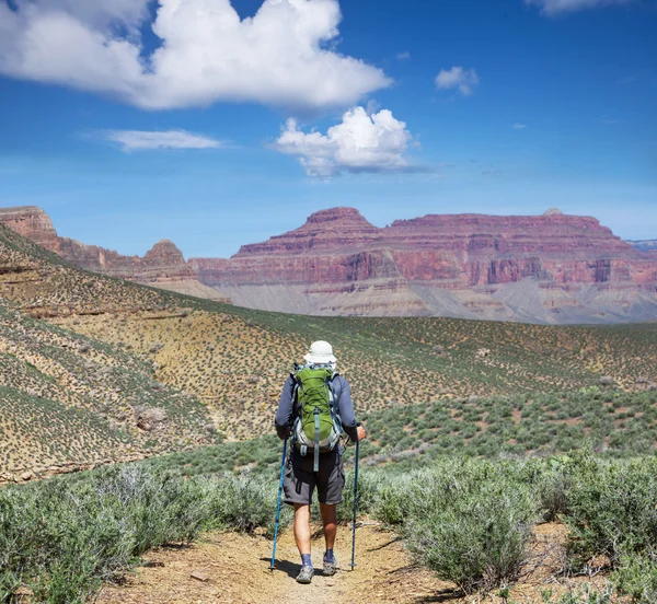 Wanderung im Grand Canyon — Stockfoto