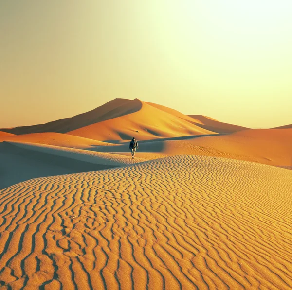 Sivatagi kirándulás — Stock Fotó