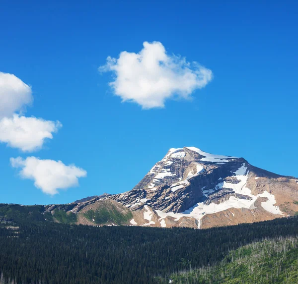 Parc des glaciers — Photo