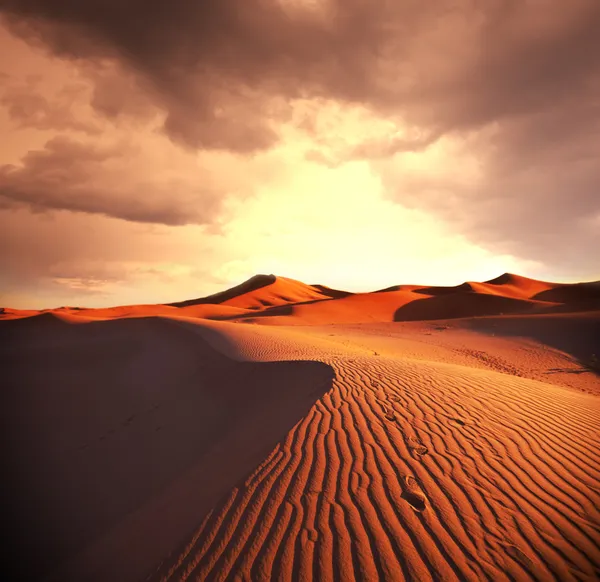 Dune — Stock Photo, Image