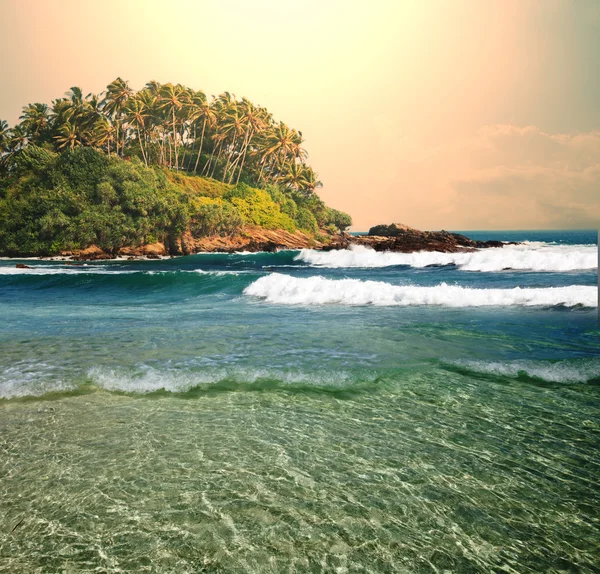 Spiaggia tropicale — Foto Stock