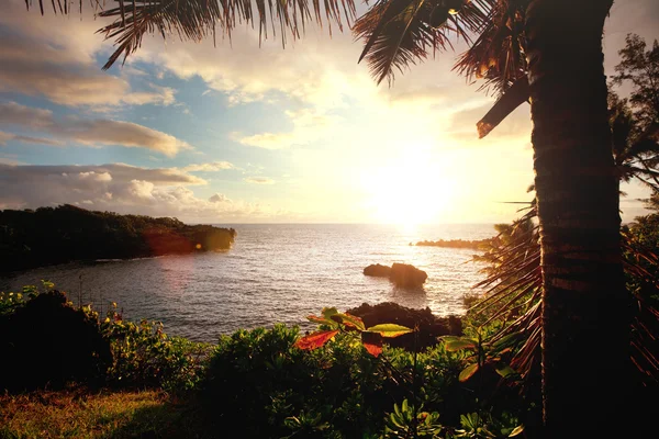 Hawaii — Stockfoto