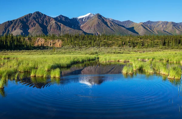 Lago sull'Alaska — Foto Stock