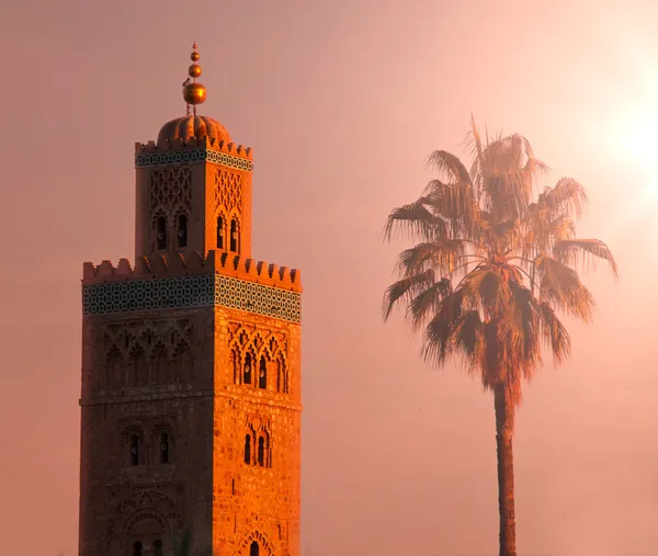 Marrakech Ordförande — Stockfoto