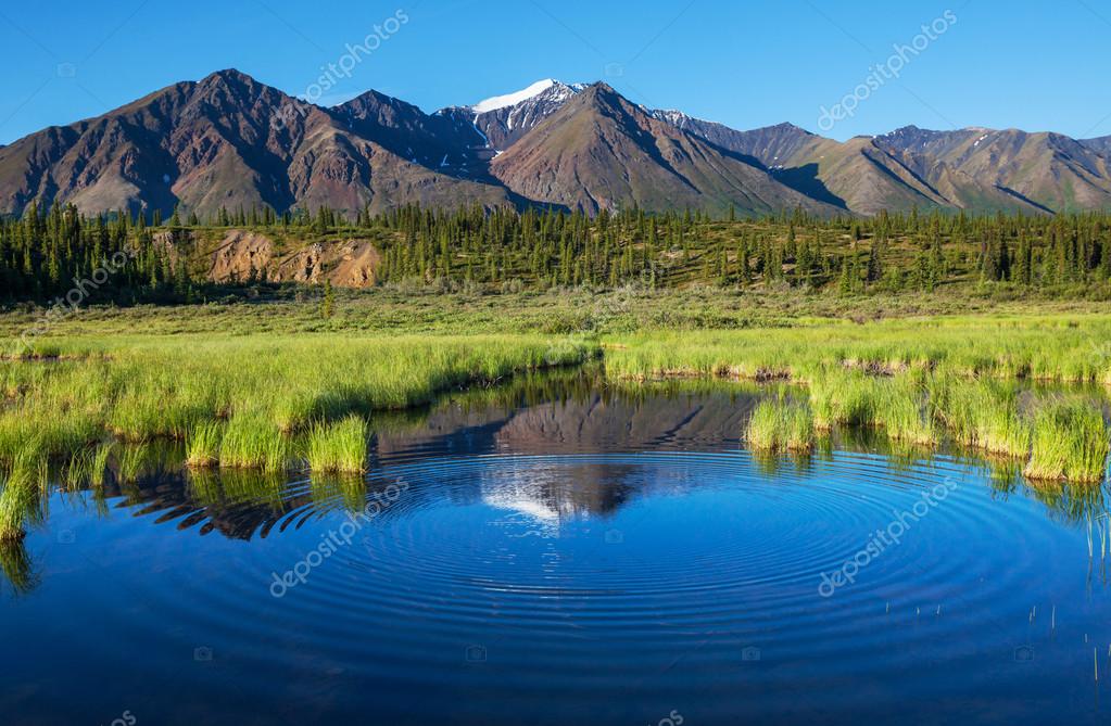 kamchatka