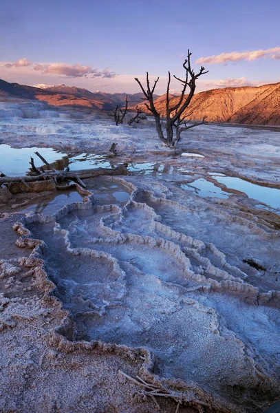 Mamute Hot Springs — Fotografia de Stock