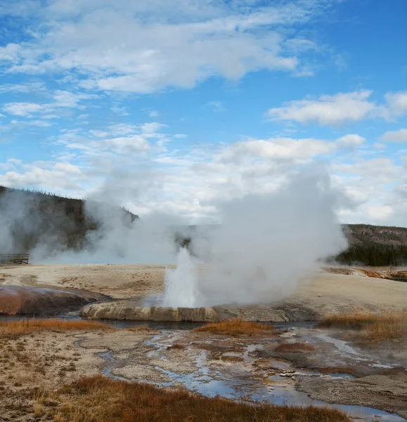 Yellowstone. — Fotografia de Stock