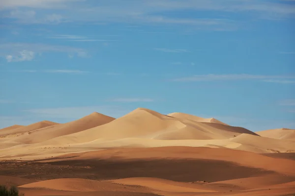 Desert — Stock Photo, Image