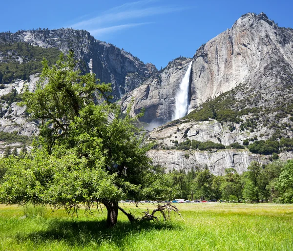 Άνοιξη σε yosemite — Φωτογραφία Αρχείου