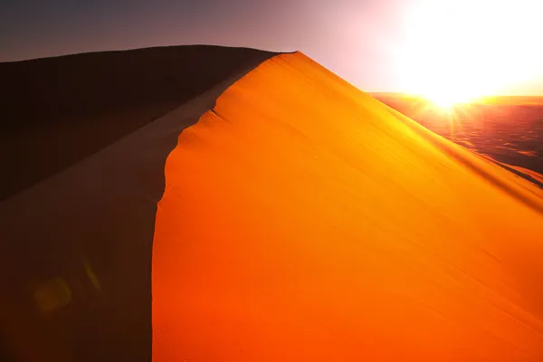 Desierto — Foto de Stock