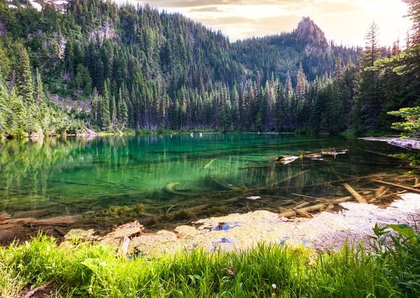 Lake — Stock Photo, Image