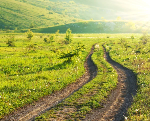 Strada in campo — Foto Stock