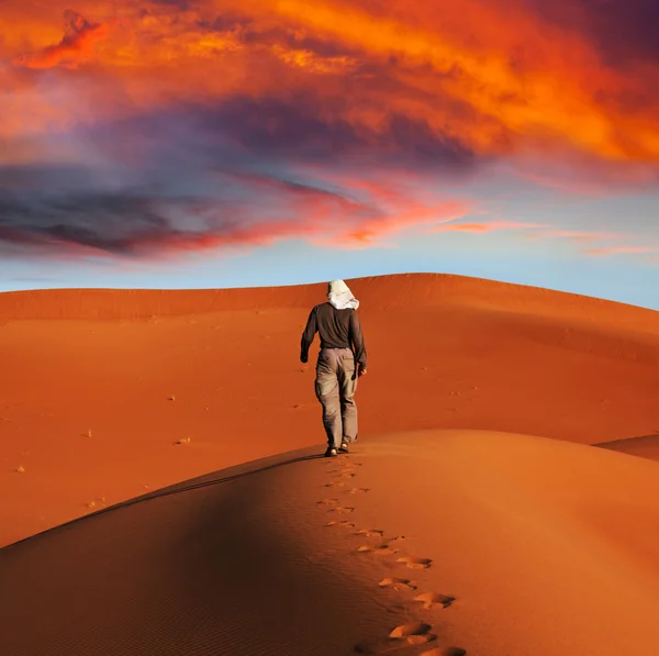 Hike in desert — Stock Photo, Image