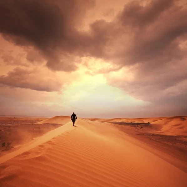 Hike in desert — Stock Photo, Image