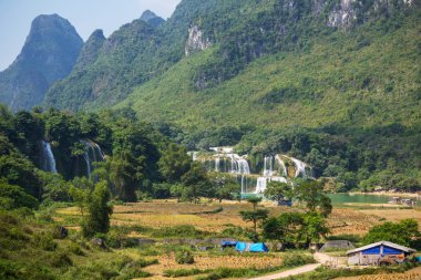 Vietnam 'da şelale