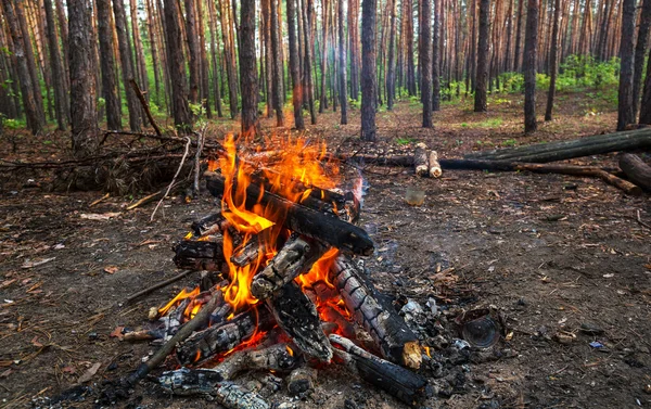 Feu dans la forêt — Photo