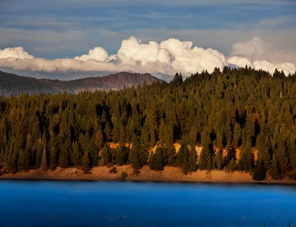 Lago y bosque —  Fotos de Stock