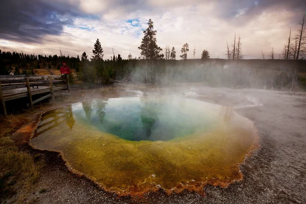 Morning Glory Pool — Stock Photo, Image