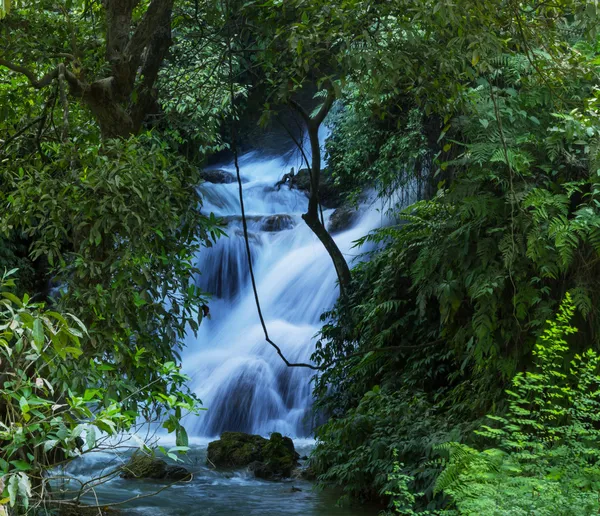 Cachoeira na floresta — Fotografia de Stock