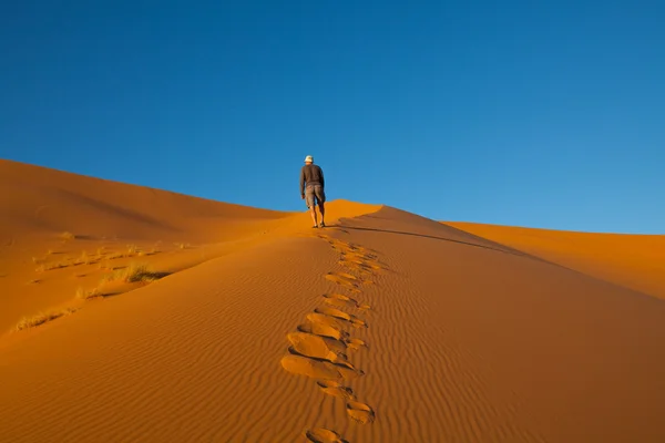 Hike in desert — Stock Photo, Image