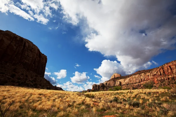 Amerikanska landskap — Stockfoto