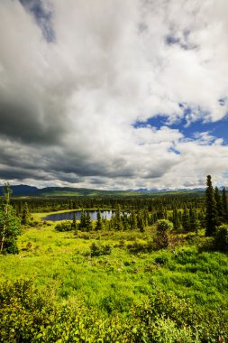 alaska gölde