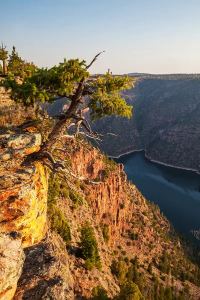 Lángoló gorge — Stock Fotó