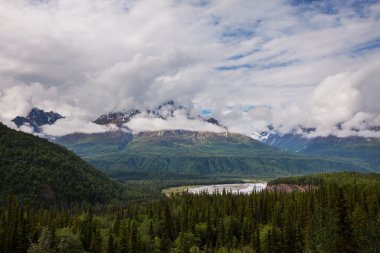 alaska Dağları