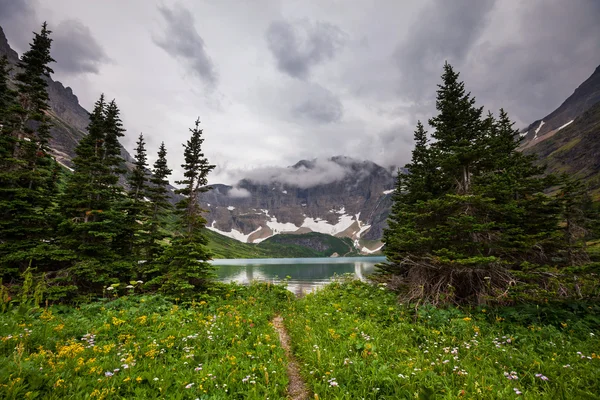 Parco dei ghiacciai — Foto Stock